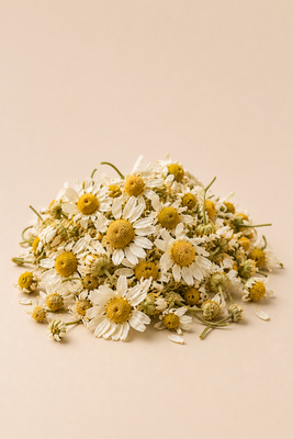 Chamomile Extract