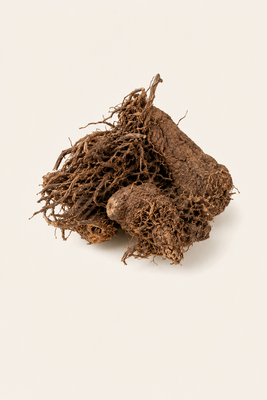 Jatamansi Extract